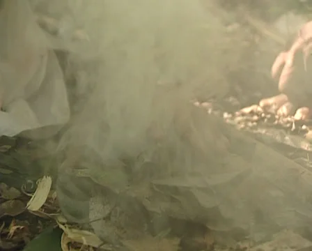 Lacandon making a fire using sticks in the jungle of Palenque Stock Footage 36448586
