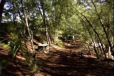 Lacayan Park Beach Path Stock-Footage 818505