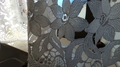 Lace curtain view on window Stock Footage 134500635