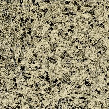 Lace Design Digital Paper 库存插图
