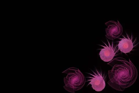 Lace horizontal seamless openwork roses.Pink lacy mesh on a black background. Stock Illustration