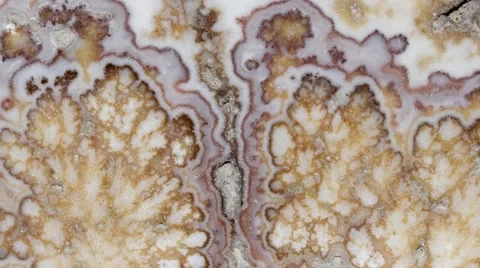 Lace Onyx Stock Footage 52350950