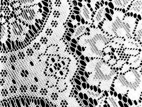 Lace Texture Stock-Illustration