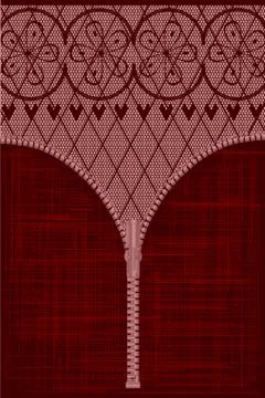 Lace zipper Stockillustratie
