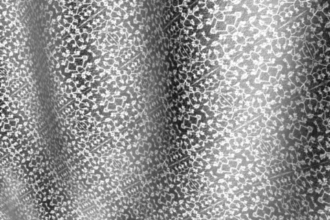 Lace4 04 2997 Video stock 305489