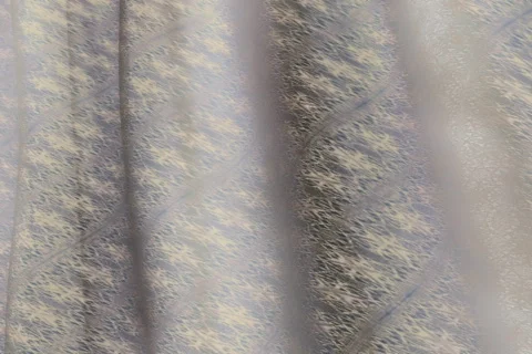 Lace9 04 2997 Video stock 305510