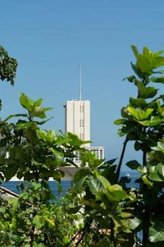 Lacerda Elevator Framed by Foliage Stock Photos