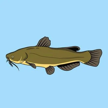 Lack Bullhead Catfish Vector Illustration Stock Illustration