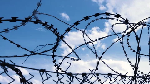 Lack of freedom concept, imprisonment. Barbed wire at restricted area Video stock 248366012
