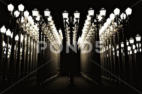 LACMA Lamp Posts in Los Angeles lit up at Night Stock Photos