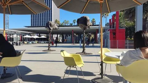 Lacma museum cafe Stock Photos