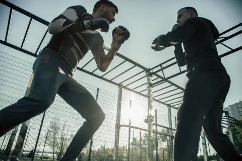 Laconic image of the boxing training of two MMA sportsmen Stock Photos