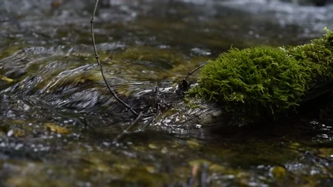 L'acqua che scorre Video stock 157507698