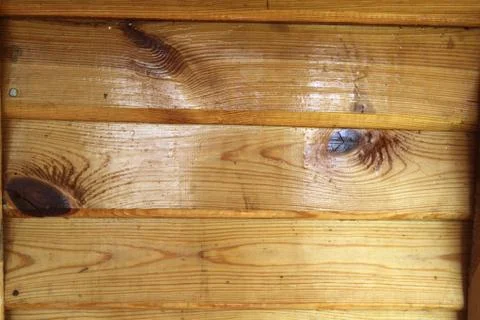 Lacquered boards Stock Photos
