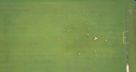 Lacrosse Practice Aerial Stock Footage 98528581