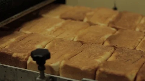 Lactal bread production Stock Footage 78688188