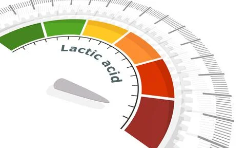 Lactic acid measuring process Stock Illustration