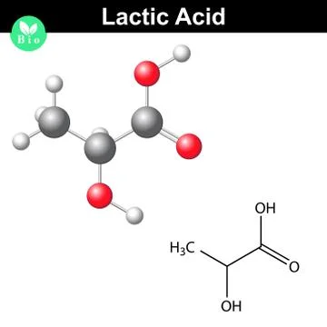 Lactic acid molecule Stock Illustration