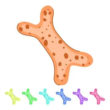 Lactobacilli bacteria cell representing human microbiome digestive health g.. Stock Illustration