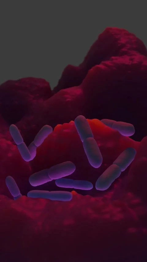 Lactobacillus bacteria Stock Footage 305632477