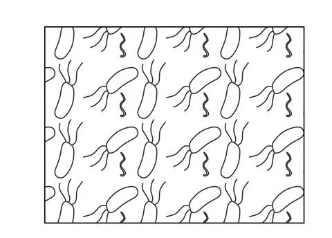 Lactobacillus icon, Bacteria or microbe line outline icon isolated on white. Stock Illustration