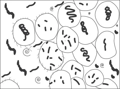 Lactobacillus icon, lactobacillus vector  icon . Stock Illustration