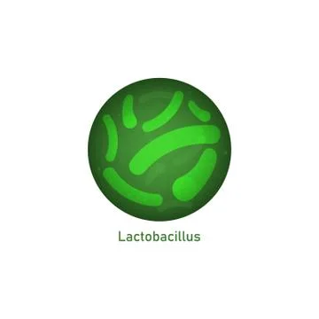 Lactobacillus icon - microscope view of green probiotic bacteria inside circle. Illustrazione stock