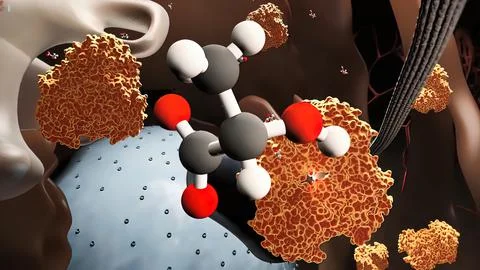 Lactose, carbohydrate containing one molecule of glucose and one of galactose Stock Illustration