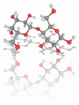 Lactose organic compound molecule Stock Illustration