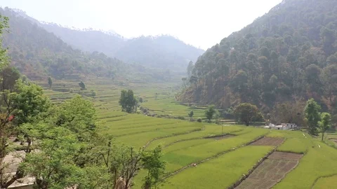 Ladder farming Stock Footage 88232106