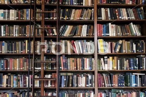 Ladder on library bookcase Stock Photos