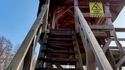 Ladder in nature Video stock 151440434