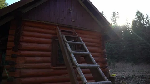 Ladder placed against cabin during sunset near forest in rural area Video stock 334861673