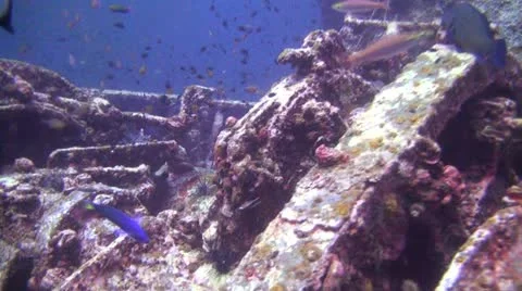 Ladder on a Shipwreck Stock Footage 22304305