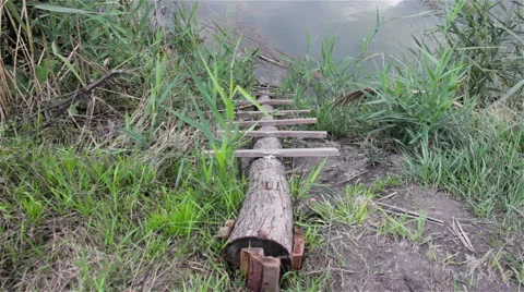 Ladder into the water Stock Footage 55758771