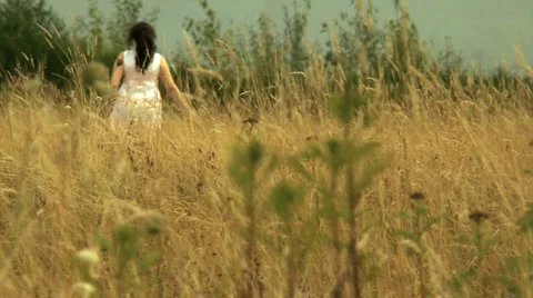 Ladie in field Stock-Footage 924563