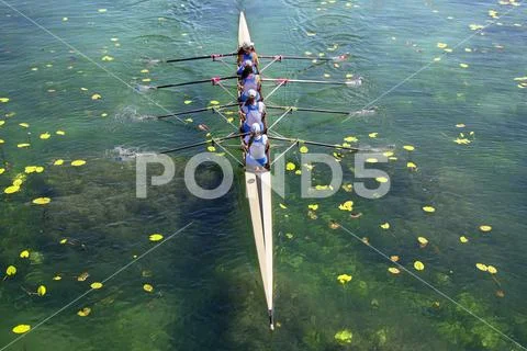 Ladies fours rowing team in race on the lake Stock Photos