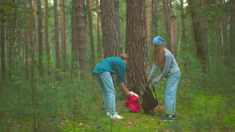 Ladies Retrieve Bags from Tree Base in Serene Forest Setting 動画素材 292929244