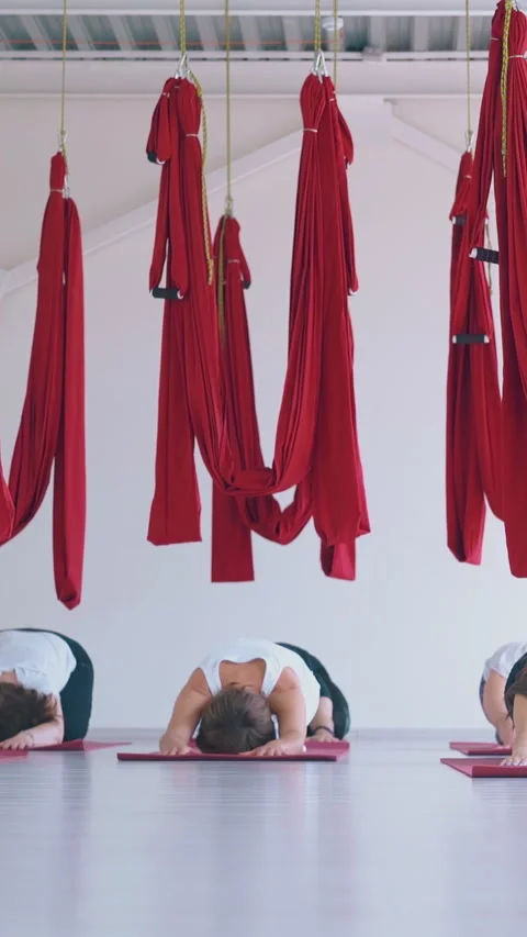 Ladies sit in extended child pose under fly yoga hammocks Stock Footage 317556936