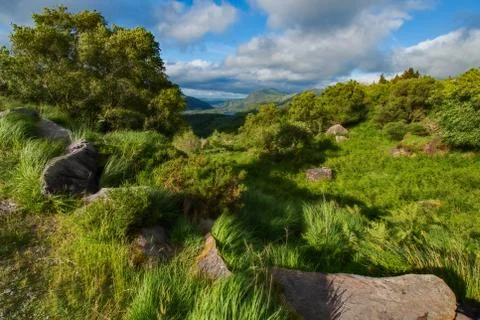 Ladies View Different Perspective Stock Photos
