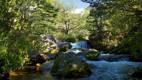 Ladnscape with mountain river, forest and snowy mountains. Cerro Tronador Stock Footage 102964745