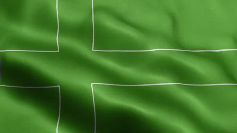 Ladonia flag Front Stock Footage 318666218