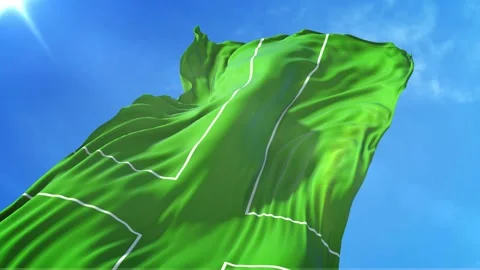 Ladonia Flag Low Angle View Stock Footage 295696528