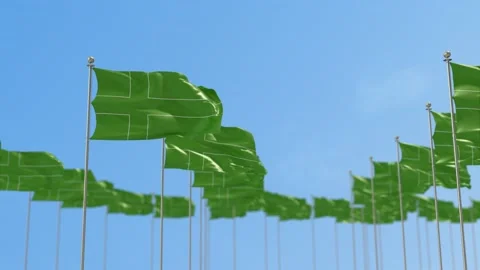 Ladonia Row Of Flags 3D Animation Stock-Footage 148711035