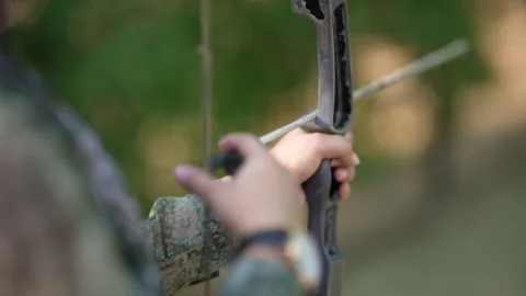 A lady aiming at archery Stock Footage 246983705
