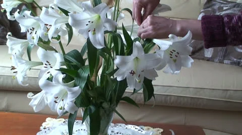 Lady and flowers (2) Stock Footage 22942138