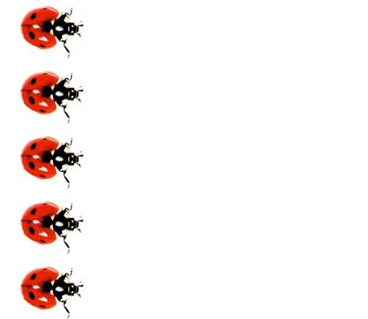 Lady Bird In A Row Stock Photos