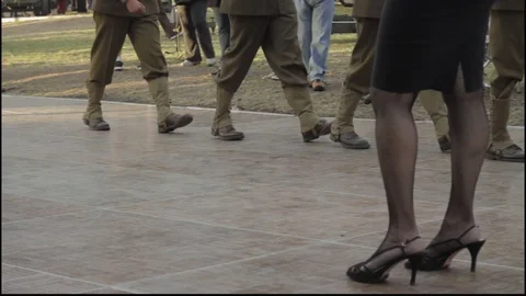 The lady in black 库存影片 105303163