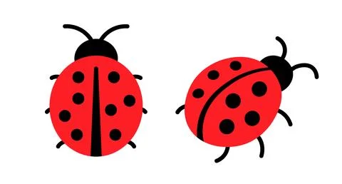 Lady bug cartoon flat icon. Ladybug simple small vector cute symbol. Ladybird Stock Illustration