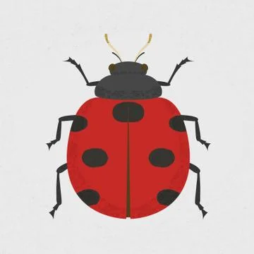 Lady Bug , eps10 vector format Stock-Illustration